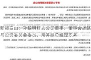 新能泰山：孙黎明辞去公司董事、董事会战略与投资委员会委员、常务副总经理职务