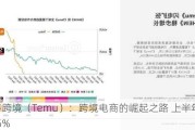 多多跨境（Temu）：跨境电商的崛起之路 上半年增长 10.5%