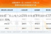 业绩快报：乐山电力2024年半年度净利润916.3万 同比下降31.50%