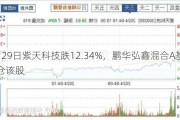 5月29日紫天科技跌12.34%，鹏华弘鑫混合A基金重仓该股