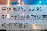 中远海能：2230.96 万份股票期权完成授予登记