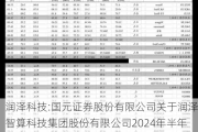 润泽科技:国元证券股份有限公司关于润泽智算科技集团股份有限公司2024年半年度持续督导跟踪报告