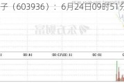 博敏电子（603936）：6月24日09时51分触及涨停板