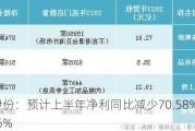 来伊份：预计上半年净利同比减少70.58%至74.26%