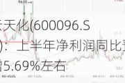 云天化(600096.SH)：上半年净利润同比预增5.69%左右