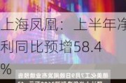 上海凤凰：上半年净利同比预增58.4%