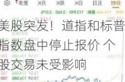 美股突发！道指和标普指数盘中停止报价 个股交易未受影响