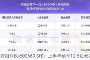 安阳钢铁(600569.SH)：上半年预亏12.6亿元左右