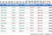 铜缆高速连接概念震荡走强 神宇股份涨超12%