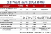 锂矿股走强 盛新锂能涨超7%