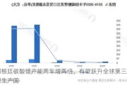 阿根廷碳酸锂产能两年增两倍，有望跃升全球第三大锂生产国