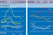 粮农组织：5 月全球食品价格指数上涨，谷物、乳制品价格攀升