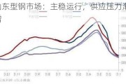 山东型钢市场：主稳运行，供应压力渐增