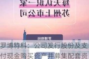 罗博特科：公司发行股份及支付现金购买资产并募集配套资金事项正在深交所正常审核过程中