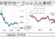 热轧板卷半年度总结：上半年风雨兼程，下半年或柳暗花明