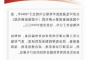 瑞纳智能:关于全资子公司项目中标的提示性公告