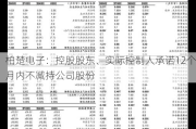 柏楚电子：控股股东、实际控制人承诺12个月内不减持公司股份