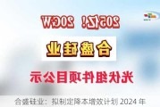 合盛硅业：拟制定降本增效计划 2024 年