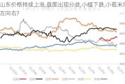 山东价格持续上涨,盘面出现分歧,小幅下跌,小苞米向左向右?