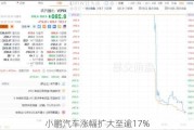 小鹏汽车涨幅扩大至逾17%