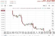 美国比特币ETF资金连续流入天数创纪录 期权市场押注比特币本月会新高