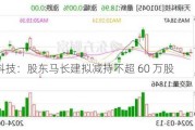 天禄科技：股东马长建拟减持不超 60 万股