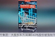 东方集团：大股东东方润澜0.63%股份被强制平仓