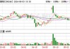 宝莱特(300246.SZ)：累计已回购1.1221%股份