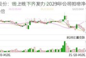 洪兴股份：线上线下齐发力 2023年公司扣非净利率增长2倍