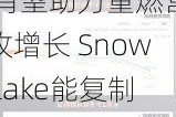 财报前瞻 | AI有望助力重燃营收增长 Snowflake能复制Palantir成功之路吗？