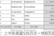 兴民智通：上半年预盈535万元～800万元 同比扭亏