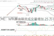 CME：WTI 原油期货成交量增加 25 万手