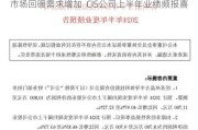 市场回暖需求增加  CIS公司上半年业绩频报喜