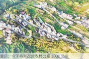 重庆：今年将新改建农村公路 3000 公里