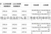 赣锋锂业早盘涨超5% 第三季度毛利率环比大降