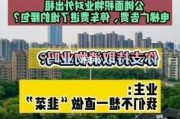 业主自治的方法及其后果是什么？