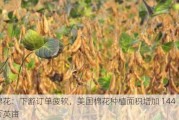 棉花：下游订单疲软，美国棉花种植面积增加 144 万英亩