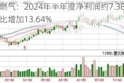 深圳燃气：2024年半年度净利润约7.38亿元，同比增加13.64%