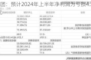 天茂集团：预计2024年上半年净利润为亏损4.2亿元~3.3亿元