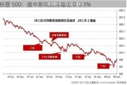 标普 500：盘中新高后涨幅收窄 0.3%