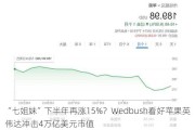 “七姐妹”下半年再涨15%？Wedbush看好苹果英伟达冲击4万亿美元市值