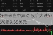 好未来盘中异动 股价大跌5.06%报9.55美元