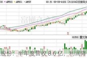 比依股份：半年度营收 8.6 亿，利润降 46%