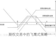 期权交易中的飞鹰式策略