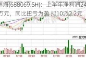 德林海(688069.SH)：上半年净利润2477.19万元，同比扭亏为盈 拟10派2.2元