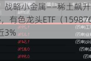 发生了什么？战略小金属——稀土飙升，北方稀土等4股涨停，有色龙头ETF（159876）盘中暴拉近3%