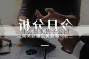 什么是现货子公司