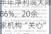 半年净利润大降86%，20余家机构“关心”这家公司