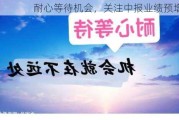 耐心等待机会，关注中报业绩预增！