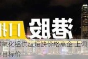 大摩：全球氧化铝供应短缺价格高企 上调中国宏桥、中国铝业目标价